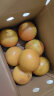 沙窝曙光（shawoshuguang）进口红心西柚爆汁红肉柚子纯甜红柚子 5斤300-400g/个（约8个） 实拍图