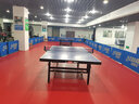新綠里（SIGREENY）乒乓球地膠室內乒乓球場(chǎng)地膠墊pvc運動(dòng)塑膠地板專(zhuān)業(yè)羽毛球地膠墊 曬單實(shí)拍圖