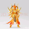 現(xiàn)貨TOYPOINT EXM 阿波羅太陽神星耀版 眾星起源圣衣神話帶圣衣架 曬單實拍圖