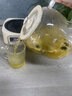 帥康（Sacon）全玻璃養(yǎng)生壺煮茶壺?zé)畨乇匾惑w全自動(dòng)恒溫壺煮茶器家用辦公室電水壺煮花茶壺 【配濾網(wǎng)】全玻璃花茶壺 1L 曬單實(shí)拍圖