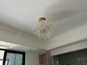 雷士（NVC）歐美輕奢吊燈客廳大燈餐廳燈臥室燈燈具燈飾全屋套餐 【四室兩廳】12+5頭-帶三色光源 曬單實(shí)拍圖