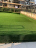 婉和 仿真草坪人造假草坪绿植地毯室外户外阳台绿植塑料假草皮草坪垫胶 加厚加密15mm/5平方 实拍图
