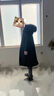 SOEM 狐貍水貂毛內(nèi)膽派克服大衣女中長款2025新款派克皮草外套 中長款水貂毛本色 XL 110-120斤 曬單實拍圖