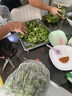 曠古農(nóng)業(yè)涼粉草新鮮綠涼粉燒仙草仙人草現(xiàn)摘現(xiàn)發(fā)燒仙涼制作原料冰粉蔬菜 2斤 曬單實(shí)拍圖