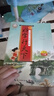 【2026春】好字行天下一年級二三四五六七八年級上冊下冊人教版同步語(yǔ)文教材課本寫(xiě)規范標準字帖寫(xiě)生字練筆順描紅練字帖鋼筆鉛筆字帖 【26春】語(yǔ)文同步字帖 2下 曬單實(shí)拍圖