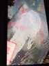 【包活包損】錦鯉活魚(yú)觀賞魚(yú)活體好養(yǎng)耐活冷水淡水魚(yú)日系錦鯉金魚(yú) 3條秋翠錦鯉 18--20cm 曬單實(shí)拍圖