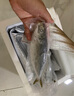 皆鄰東山島生態(tài)養殖巴浪魚(yú)竹莢魚(yú)深海海鮮水產(chǎn)順豐冷鏈直發(fā)2-3條/1斤 生態(tài)養殖巴浪魚(yú)4-6條/2斤 曬單實(shí)拍圖