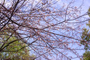 索尼（SONY）NEX-5N NEX-5R NEX-5T NEX6 NEX7 二手微單數碼相機入門(mén)級 索尼NEX-5N+16-50套機/黑或白或銀隨機 95新 曬單實(shí)拍圖
