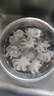 尚致鮮活八爪魚(yú)冷凍小八爪魚(yú)去牙小章魚(yú)八帶海鮮水產(chǎn) 【1斤】八爪魚(yú) 500g(凈重)  *1包 曬單實(shí)拍圖