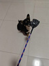 柒哦狗打棒打狗棍寵物愛心拍訓犬皮鞭子馬犬訓練用品輕便訓狗狗神器 皮質(zhì)訓狗棒小號【紅色】 曬單實拍圖