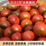 京東快遞綠色食品瓦大1號鮮食水果番茄鐵皮柿子水果西紅柿自然熟 精選18枚裝特大果凈重4.5斤單果120—150克 曬單實(shí)拍圖