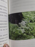 自在京都 不是旅游的京都 是生活的京都 庫索 中信出版社圖書 曬單實(shí)拍圖