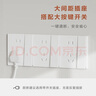 羅格朗（LEGRAND） 開關(guān)插座面板一開單控五孔簡(jiǎn)悅白磨砂啞光86型USB空調(diào)插電腦tcl 一開雙控開關(guān) 曬單實(shí)拍圖