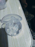 ANDYBABY6.0通用學(xué)飲杯配件寬口徑鴨嘴杯吸管杯背帶手柄吸嘴重力球杯蓋 吸嘴 曬單實拍圖