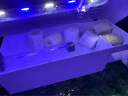 SEA STAR生态海 星小鱼缸客厅小型水族箱创意迷你玻璃家用懒人造景LED灯 240ZF标配（带20件套） 实拍图