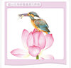 經(jīng)典全集 《彩鉛花鳥(niǎo)》繪畫(huà)入門(mén)教程書(shū)超寫(xiě)實(shí)手繪花卉植物草臨摹畫(huà)冊花之繪成人0零基礎自學(xué)教材 楊建飛主 曬單實(shí)拍圖