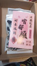 朵卡連適用oppofindn3flip手機殼高級感保護殼新款可斜挎保護套n2flip折疊屏輕奢帶掛繩外殼手提絲巾時(shí)尚 復古黑色印花+絲巾鏈+斜挎 OPPO Find N3 Flip 曬單實(shí)拍圖