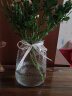 盛世泰堡 北欧玻璃花瓶插花瓶干花满天星仿真花水培植物容器小花瓶客厅装饰摆件 冰点透明款18cm 实拍图