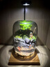 苔蘚微景觀生態(tài)瓶趣味造景綠植創(chuàng)意盆栽盆景魚缸好養(yǎng)活桌面臥室 釣魚翁（煙灰色） 16*16*22（圓）/15*15*20（超白缸） 曬單實拍圖