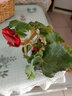 家中有果室內花卉綠植玫瑰海棠盆栽麗格海棠花苗重瓣四季開(kāi)花 大紅【帶花】 不含盆 曬單實(shí)拍圖