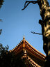 Canon佳能90D 80D 70D 60D 50D 7D學(xué)生入門級(jí)二手?jǐn)?shù)碼單反相機(jī)人像小痰盂鏡頭 佳能60D+18-55防抖套機(jī) 9新 曬單實(shí)拍圖