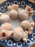 錫林郭勒羊肉 內(nèi)蒙古特產(chǎn)肚包肉羊肉腸 羊肉禮盒生鮮年貨禮盒小吃食材地標(biāo)認證 肚包羊肉2斤+羊肉肉腸2斤 曬單實拍圖