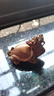 金絲楠貔貅龍龜小葉楨楠老料擺件手把件文玩招財動物福氣禮品木雕 4.5cm 曬單實拍圖