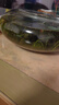 噢水噢觀賞蝦活體水族淡水小動物魚缸清潔除藻極火彩色觀賞魚水晶蝦壹 高端：紅水晶10送2只備損 曬單實拍圖