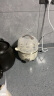 小熊（Bear)煮蛋器 家用蒸蛋器 旋钮可定时煮蛋羹机 高温断电保护迷你单双层蒸锅 ZDQ-B14R1 实拍图