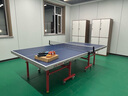 雙魚(yú)（DOUBLE FISH） 乒乓球桌大賽ITTF認證標準室內乒乓球臺移動(dòng)雙折疊式乒乓球案子 雙魚(yú)203折疊帶輪18mm+球拍+網(wǎng)架 曬單實(shí)拍圖
