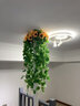 壁掛式綠植裝飾花墻壁仿真綠蘿掛墻植物墻面假花客廳藤條花籃掛飾 新款綠蘿+掛籃+向日葵 曬單實(shí)拍圖