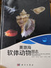 現代海洋科學(xué) 從近海到深海：黃渤海軟體動(dòng)物圖志 曬單實(shí)拍圖