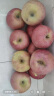 耀聪四川大凉山丑苹果冰糖心盐源苹果水果礼盒当季红富士整箱新鲜苹果 5斤 65mm-70mm（不含） 实拍图