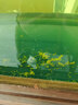 NORVIR【順豐】上野日本黃粉魚粉水族用品觀賞魚金魚藥粉龍魚錦鯉水質(zhì)調(diào) 黃粉50g/包【漁場版】 曬單實(shí)拍圖