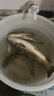釣哈哈月亮椅釣魚(yú)可升降腿釣椅加寬椅面舒適全地形釣魚(yú)椅漁具用品 月亮椅黑色(含收納包）+三件套 曬單實(shí)拍圖