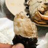 【活蟹】水淼鮮 洪湖大閘蟹鮮活螃蟹生鮮現(xiàn)貨海鮮水產(chǎn)年貨禮品 全母1.2-1.5兩 6只 曬單實(shí)拍圖