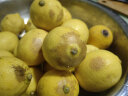 京愿 四川安岳黄柠檬  新鲜柠檬鲜果新鲜水果生鲜当季皮薄多汁大果 3斤 装 实拍图