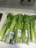 儲褚【有機】西芹 生食沙拉食材 新鮮現(xiàn)摘蔬菜可榨汁西洋芹 400g/份*3份【有機西芹嘗鮮裝】 曬單實拍圖