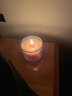 揚基（YANKEE CANDLE）進(jìn)口香薰蠟燭香氛家用臥室七夕送女友伴手生日禮物女旅行裝蠟燭迷你香薰禮盒6只裝-熱賣(mài) 曬單實(shí)拍圖