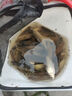 小鳳仙鳳誘路滑餌料遠投專(zhuān)用鯽鯉魚(yú)拉餌磯竿滑漂拋餌路亞釣魚(yú)餌料腥香 路滑餌料150g/2瓶裝 【狂甩不掉餌】 曬單實(shí)拍圖