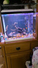 SOBO松寶魚(yú)缸潛水燈水族燈遙控變色LED燈魚(yú)缸燈水族箱潛水照明防水燈 單排t8-490(43CM)三檔手調(diào) 曬單實(shí)拍圖