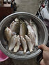 黃金眼 漂盒魚漂套裝高靈敏醒目浮標(biāo)加粗尾魚漂黑坑競技鯽魚漂鯉魚漂漁具釣魚配件 黃金眼碳素套裝八(5支漂+PU皮漂盒) 一套 曬單實(shí)拍圖