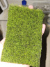 柯必達青苔蘚鮮活苔蘚微景觀植物盆景盆栽水陸缸假山草造景材料白 短絨蘚(15*8)cm 2盒 曬單實拍圖