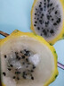 裕農叔【順豐JD】燕窩果麒麟果孕婦水果黃色火龍果海南中秋節禮品送禮 2.1斤凈重精品中果（單果95-150g） 曬單實(shí)拍圖