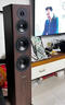 丹拿（DYNAUDIO）重現(xiàn)系列 Evoke 50 HiFi無(wú)源落地音響發(fā)燒音箱 木質(zhì) 2.0聲道 胡桃木 一對(duì) 曬單實(shí)拍圖