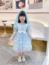 mlgt kids童裝女童愛莎公主裙2025夏季禮服女孩連衣裙兒童網(wǎng)紗裙子 藍色 連衣裙+網(wǎng)紗發(fā)箍 90 cm（建議80-90cm1-2周歲左右） 曬單實拍圖