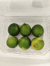 臻亦尚海南小青桔水果奶茶新鮮應季整箱批發(fā)檸檬果小青桔小青檸 嘗鮮價(jià)1斤裝 曬單實(shí)拍圖