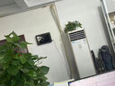 曼諾施寵物空氣凈化器壁掛式除尿騷味過敏原紫外線消毒殺菌衛(wèi)生間除臭器新房除甲醛負(fù)離子凈化除煙味除塵 除甲醛/消毒殺菌/除臭凈化【60平適用】 曬單實(shí)拍圖