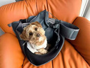 京多夢(mèng)生活透氣貓包外出便攜斜挎包太空艙寵物胸前小背包單肩騎行貓兜 黑色 L（5-10斤） 當/次日達 曬單實(shí)拍圖