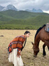 CHANEELR & KARITH民族風(fēng)草原外搭披肩川西旅行穿搭旅游斗篷生日小眾禮物送女友老婆 七彩色 曬單實拍圖